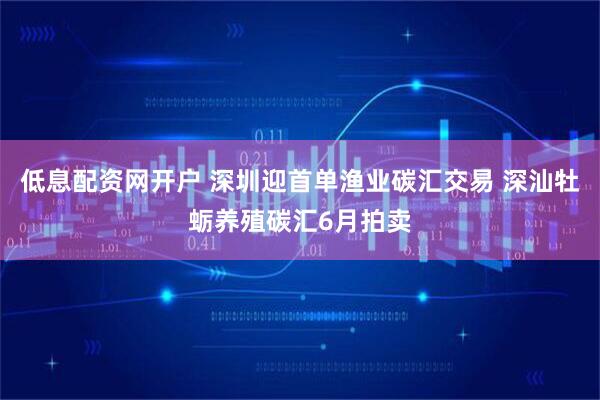 低息配资网开户 深圳迎首单渔业碳汇交易 深汕牡蛎养殖碳汇6月拍卖