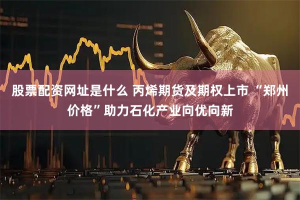 股票配资网址是什么 丙烯期货及期权上市 “郑州价格”助力石化产业向优向新