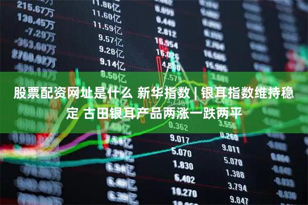 股票配资网址是什么 新华指数 | 银耳指数维持稳定 古田银耳产品两涨一跌两平