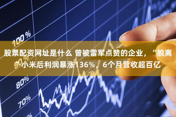 股票配资网址是什么 曾被雷军点赞的企业，“脱离”小米后利润暴涨136%，6个月营收超百亿