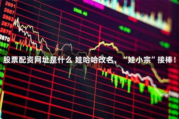股票配资网址是什么 娃哈哈改名，“娃小宗”接棒！