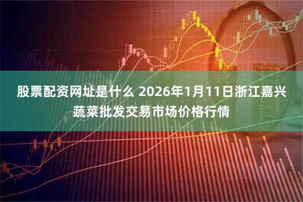 股票配资网址是什么 2026年1月11日浙江嘉兴蔬菜批发交易市场价格行情
