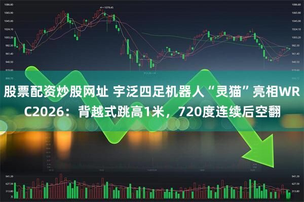 股票配资炒股网址 宇泛四足机器人“灵猫”亮相WRC2026：背越式跳高1米，720度连续后空翻